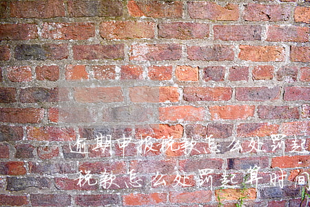 逾期申报税款怎么处罚起算时间-逾期申报税款怎么处罚 起算时间