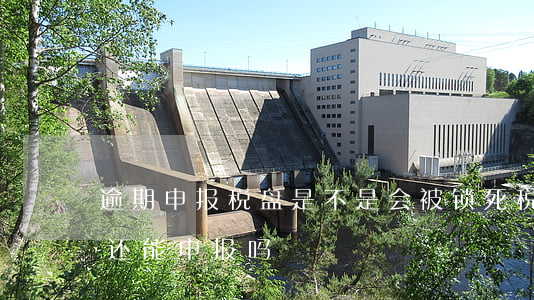 逾期申报税盘是不是会被锁死(税控盘被锁死还能申报吗)