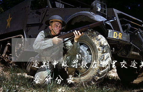 逾期申报罚款在哪里交(逾期申报罚款怎么做会计分录)