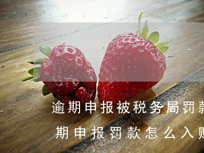 逾期申报被税务局罚款了有啥影响-税务逾期申报罚款怎么入账