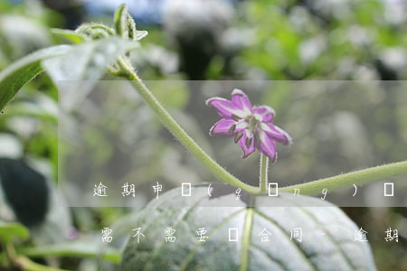 逾期申請(qǐng)協(xié)商還款需不需要簽合同-逾期申請(qǐng)協(xié)商還款需不需要簽合同呢