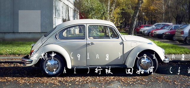 逾期申請(qǐng)強(qiáng)制執(zhí)行被駁回如何復(fù)議-逾期申請(qǐng)強(qiáng)制執(zhí)行被駁回如何復(fù)議呢