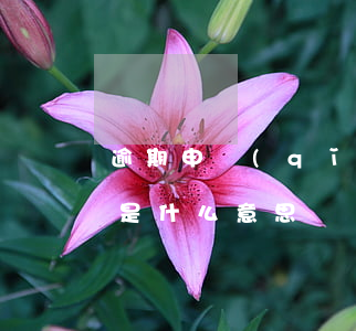 逾期申請(qǐng)是什么意思 逾期審核是什么意思