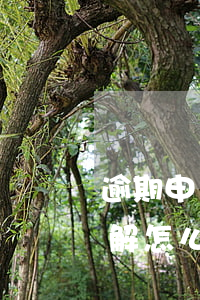 逾期申請(qǐng)法院調(diào)解怎么辦 調(diào)解書逾期還款