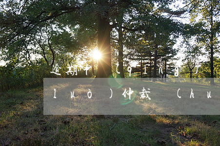 逾期申請(qǐng)網(wǎng)絡(luò)仲裁會(huì)有什么后果-逾期申請(qǐng)網(wǎng)絡(luò)仲裁會(huì)有什么后果呢