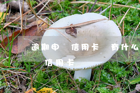 逾期申請信用卡會有什么后果上海-逾期 申請信用卡