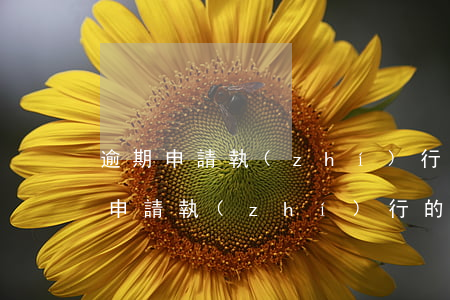 逾期申請執(zhí)行法院是否受理(逾期申請執(zhí)行的后果)