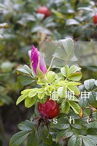 逾期申請建設(shè)銀行信用卡(建設(shè)銀行有逾期記錄可以再次申請信用卡嗎)