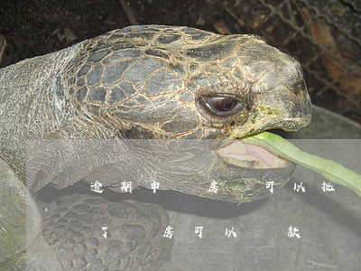 逾期申請房貸可以批準(zhǔn)嘛(逾期了買房可以貸款嗎)