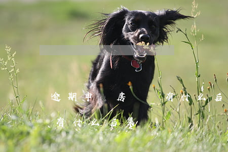 逾期申請房貸會有什么后果(逾期申請房貸會有什么后果嗎)