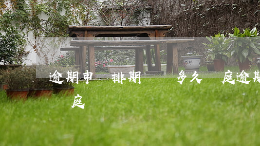 逾期申請排期訴訟多久開庭(逾期被起訴多久開庭)