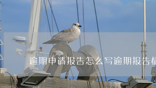 逾期申请报告怎么写(逾期报告情况说明)