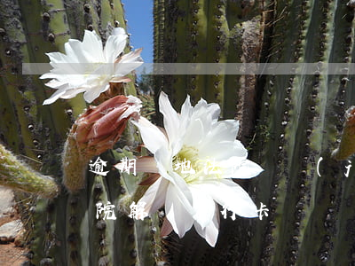 逾期異地法院凍結(jié)銀行卡(異地法院解凍銀行卡)