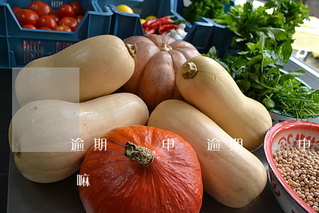逾期異議申請(逾期異議申請材料銀行會核實嘛)