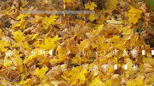 逾期當(dāng)中去哪兒貸款(逾期當(dāng)中去哪兒貸款)