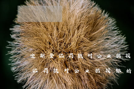逾期登记罚款对企业招投标的影响-逾期登记罚款对企业招投标的影响吗