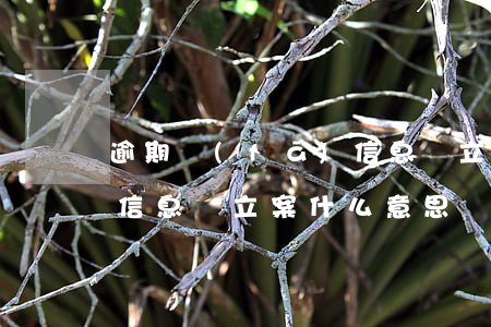 逾期發(fā)信息說立案 逾期發(fā)信息說立案什么意思