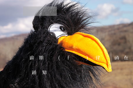 逾期發(fā)律師函在那里(逾期收到律師通知)