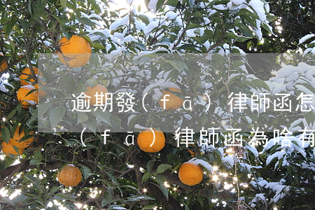 逾期發(fā)律師函怎么處理退訂 律師發(fā)律師函為啥有退訂