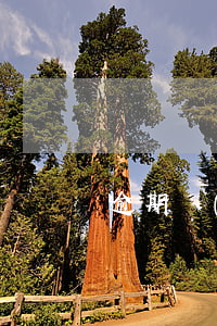 逾期發(fā)照片-逾期的照片
