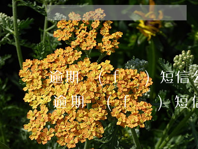 逾期發(fā)短信公告說我未出庭敗訴-逾期發(fā)短信公告說我未出庭敗訴是真的嗎