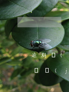 逾期發(fā)短信說(shuō)要法院凍結(jié)我財(cái)產(chǎn)-