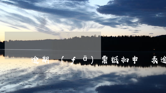 逾期發(fā)票抵扣申請表(逾期申報抵扣)