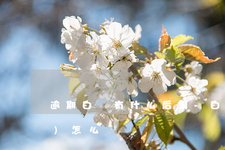 逾期白條有什么后果-白條逾期會(huì)怎么辦