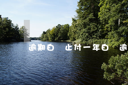 逾期白條止付一年(白條逾期10天后果)