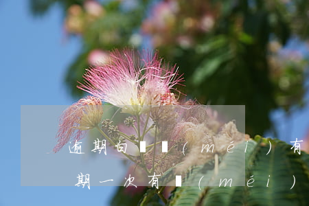 逾期白條沒(méi)有一次性還清(白條逾期一次有沒(méi)有影響)