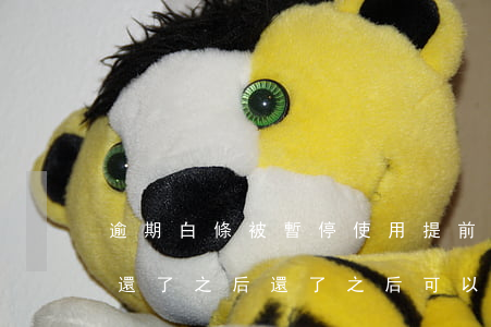 逾期白條被暫停使用提前還清(白條逾期1天還了之后還了之后可以繼續(xù)使用嗎)