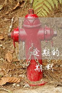 逾期的人坐車(chē)受限制嗎(信用卡逾期影響坐車(chē)嗎)