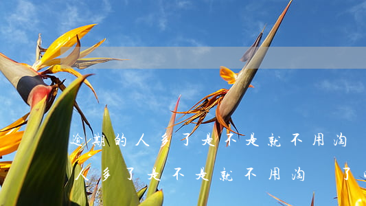 逾期的人多了是不是就不用淘寶了-逾期的人多了是不是就不用淘寶了呢