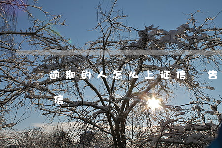 逾期的人怎么上征信報告（逾期的人怎么上征信）
