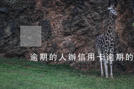 逾期的人辦信用卡 逾期的人辦信用卡