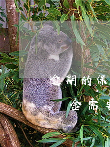 逾期的保證金需要繳納增值稅嗎-逾期的保證金需要繳納增值稅嗎為什么