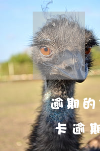 逾期的信用卡会从其他的储蓄卡里扣吗（信用卡逾期银行卡有钱多久被扣）