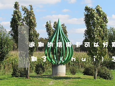 逾期的信用卡可以分期還款嗎（信用卡分期逾期了會(huì)怎樣）