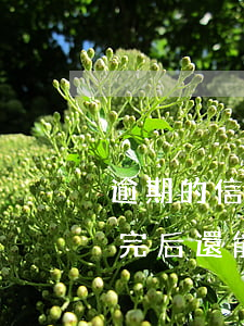 逾期的信用卡可以分期還款嗎（信用卡逾期還完后還能辦理分期嗎）