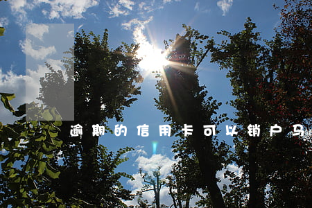逾期的信用卡可以销户马(信用卡 注销 销户)