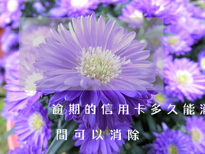 逾期的信用卡多久能消除(信用卡逾期多長時間可以消除)