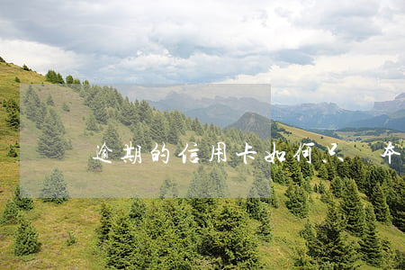 逾期的信用卡如何只還本金(逾期怎么還本金)