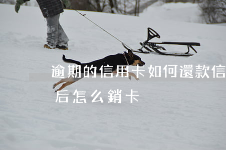 逾期的信用卡如何還款（信用卡逾期全額還款后怎么銷卡）