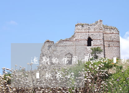 逾期的信用卡如何還款（信用卡逾期怎么提前還款最好）