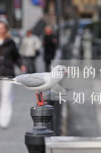 逾期的信用卡如何降到五萬以下 逾期的信用卡如何降到五萬以下的信用卡