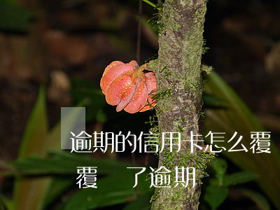 逾期的信用卡怎么覆蓋(多使用信用卡會不會覆蓋了逾期記錄)