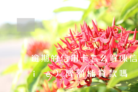 逾期的信用卡怎么解凍（信用卡逾期凍結(jié)降額能貸款嗎）