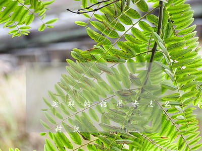 逾期的信用卡怎么還（信用卡逾期怎么用花唄付款）