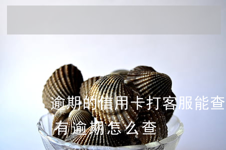 逾期的信用卡打客服能查到吗(查信用卡有没有逾期怎么查)