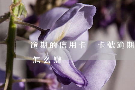 逾期的信用卡換卡號(逾期的信用卡換卡號了怎么辦)